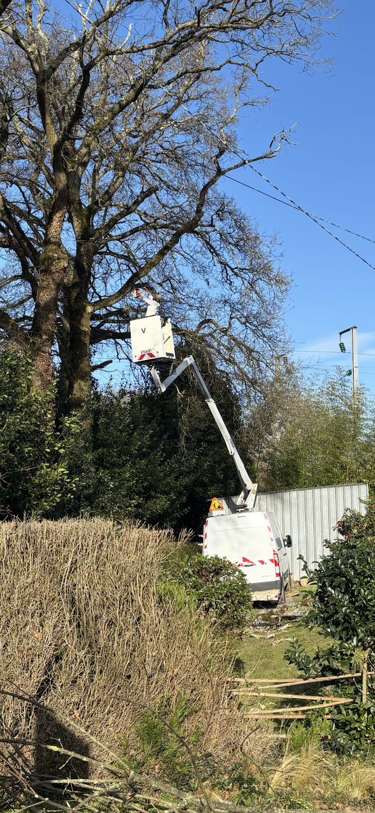 Réalisation jardinage