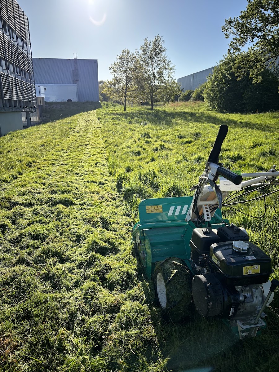 Travaux jardins