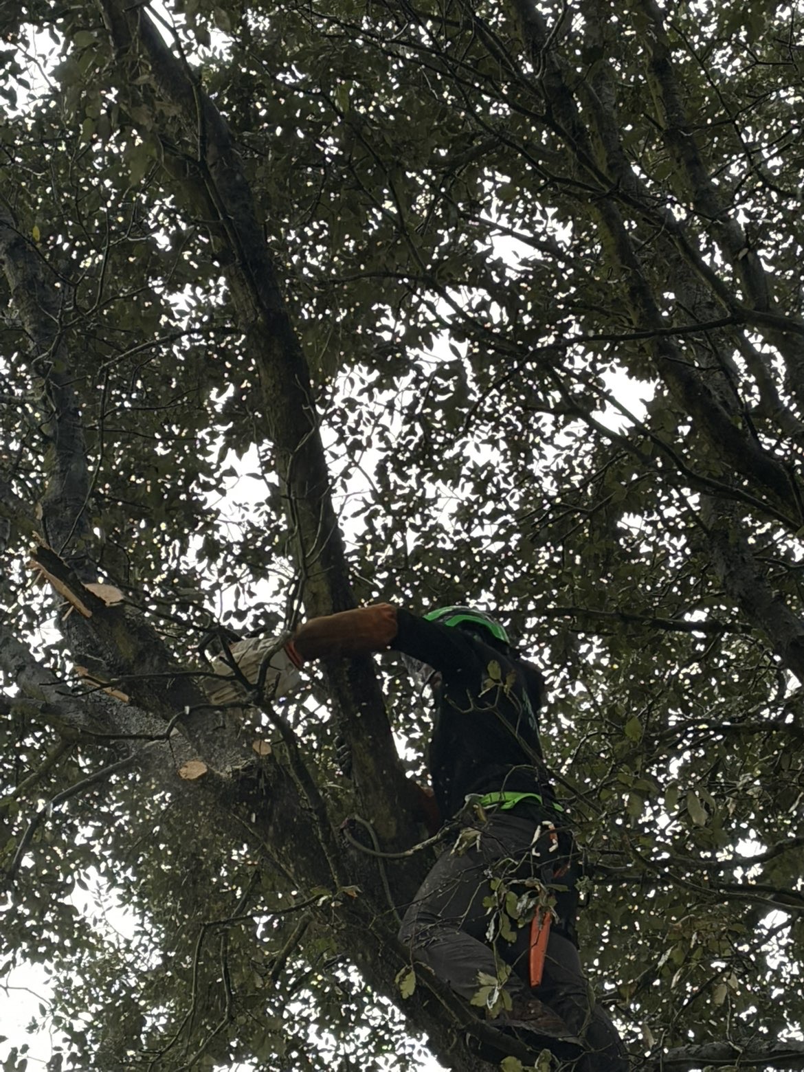 Chantier finitions